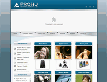 Tablet Screenshot of prohu.com